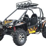 Kinroad Commander TK200-GK 9A Adult Go-Kart Buggy