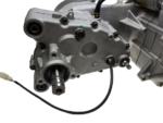 Vitacci Jaguar, Monster, Cazador, Falcon 200 Go-Kart Engine, GY6 170cc, 175cc, 232cc