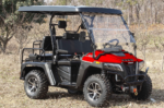 Victory 450 EFI 4X4 Golf Cart
