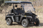Victory 450 EFI 4X4 Golf Cart