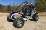 Dongfang Jaguar Adult Go-Kart Buggy DF200GKA, Big Bore 200 PowerStroke