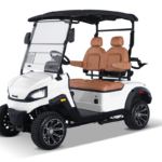 G 2P Electric Golf Cart