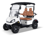 Solana G 2P Electric Golf Cart