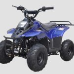 Rexhawk 110 Children's ATV, 4-Stroke 110cc