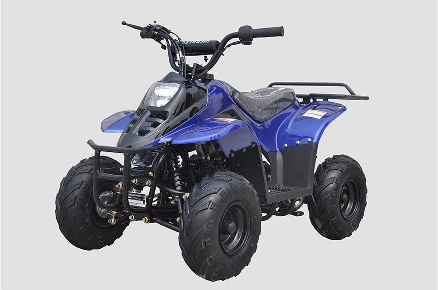 1_0729d6c8-ba4b-4622-812d-98f362f13d2d-1.jpg Rexhawk 110 Children's ATV, 4-Stroke 110cc