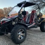 Trailmaster Cheetah 300EX EFI Adult Go-Kart Buggy