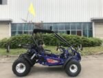 Trailmaster 200 XRX EFI Adult Go-Kart Buggy