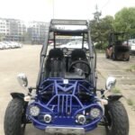 Trailmaster 200 XRX EFI Adult Go-Kart Buggy