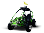 Trailmaster 200 XRX Adult Go-Kart Buggy