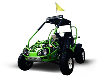 Trailmaster 200 XRX Adult Go-Kart Buggy