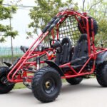 DongFang Spider 200 Adult Go-Kart Buggy