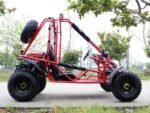 DongFang Spider 200 Adult Go-Kart Buggy