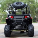 Dongfang Victory DF200GKV UTV Side By Side
