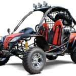DongFang Warrior 200GKF Adult Go-Kart Buggy