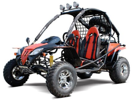 DongFang Warrior 200GKF Adult Go-Kart Buggy