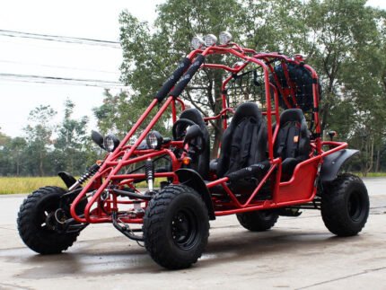 DongFang Spider 200GHD-4 Adult Go-Kart Buggy