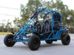 DongFang Spider 200GHD-4 Adult Go-Kart Buggy