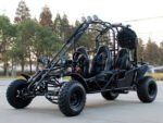 DongFang Spider 200GHD-4 Adult Go-Kart Buggy