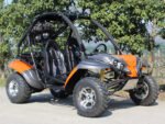 Dongfang Raptor Adult Go-Kart Buggy DF200GKR, Big Bore 200 PowerStroke