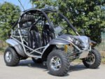 Dongfang Raptor Adult Go-Kart Buggy DF200GKR, Big Bore 200 PowerStroke