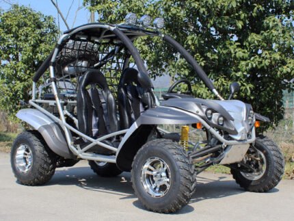 Dongfang Raptor Adult Go-Kart Buggy DF200GKR, Big Bore 200 PowerStroke