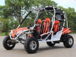 Dongfang Jaguar Adult Go-Kart Buggy DF200GKA-4, Big Bore 200 PowerStroke, 4 Seater