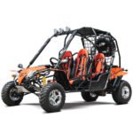 Dongfang Jaguar Adult Go-Kart Buggy DF200GKA-4, Big Bore 200 PowerStroke, 4 Seater