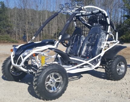 Targa 200 Go-Kart Engine, GY6 170CC