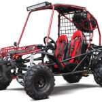DongFang Wrangler 200GKX Adult Go-Kart Buggy