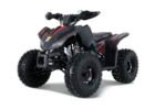 Tao Tao Rival Trailhawk 10 Children's ATV, 4-Stroke 125cc
