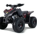 Tao Tao Rival Trailhawk 10 Children's ATV, 4-Stroke 125cc