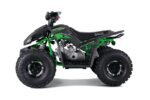 Tao Tao Rival Trailhawk 10 Children's ATV, 4-Stroke 125cc