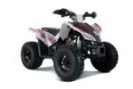Tao Tao Rival Trailhawk 10 Children's ATV, 4-Stroke 125cc