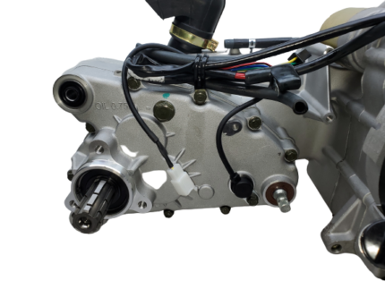 BMS King Cobra 150 GY6 Engine with Internal Reverse 150cc, 175cc, 232cc