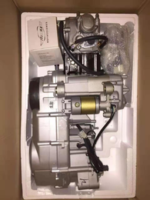 Kandi Spider 300GK 300cc Go-Kart Buggy Engine (Spyder)