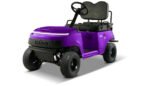 Kandi Mini Electric Golf Cart