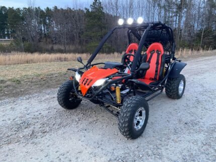 Dongfang Jaguar Adult Go-Kart Buggy DF200GKA, Big Bore 200 PowerStroke