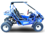 Trailmaster 300 XRS EFI Adult Go-Kart Buggy