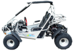 Trailmaster 300 XRS EFI Adult Go-Kart Buggy