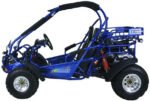Trailmaster 300 XRX EFI Adult Go-Kart Buggy
