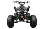 Raptor 125 Children's ATV-8", 4-Stroke 125cc