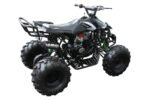 Raptor 125 Children's ATV-8", 4-Stroke 125cc
