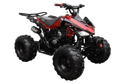 Raptor 125 Children's ATV-8", 4-Stroke 125cc