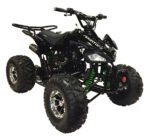 Raptor 125 XC Children's ATV, 4-Stroke 125cc