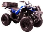 Coolster Kodiak 3200U Adult Quad ATV