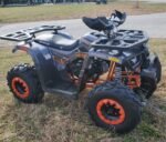 Tao Tao Raptor 200G Adult ATV