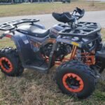 Tao Tao Raptor 200G Adult ATV