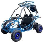Dongfang DF200GVA Falcon Jr. Children's Go-Kart Buggy, 4-Stroke 196cc