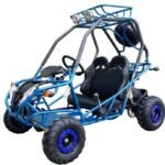 Dongfang DF200GVA Falcon Jr. Children's Go-Kart Buggy, 4-Stroke 196cc