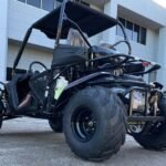 Trailmaster Cheetah 300E EFI Adult Go-Kart Buggy